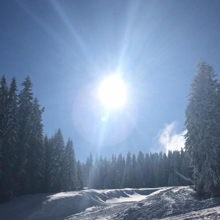 Lux Apartment Milmari Reko Premier 14 Kopaonik - Apartment - 47