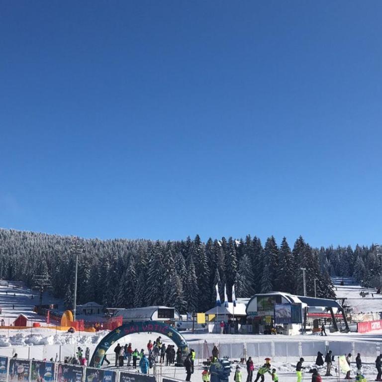 Lux apartment Milmari Reko E4 Kopaonik - One-Bedroom Apartment - 56