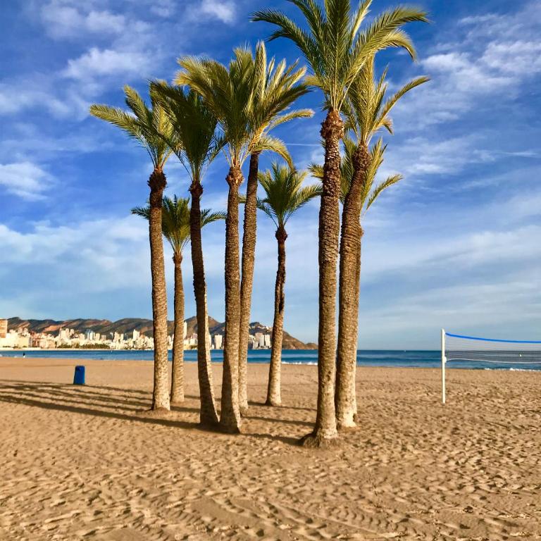 Neptuno on the Beach - Apartamento - 28