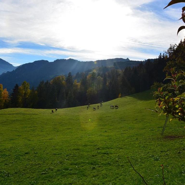 Niederstallnhof - Appartamento con Vista Montagna - 1