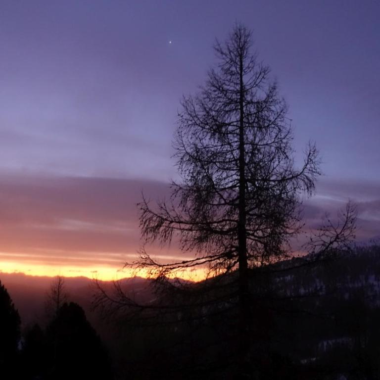 Heidi Chalets Falkertsee - Luxuschalet Almsommer - Superior Chalet - 49