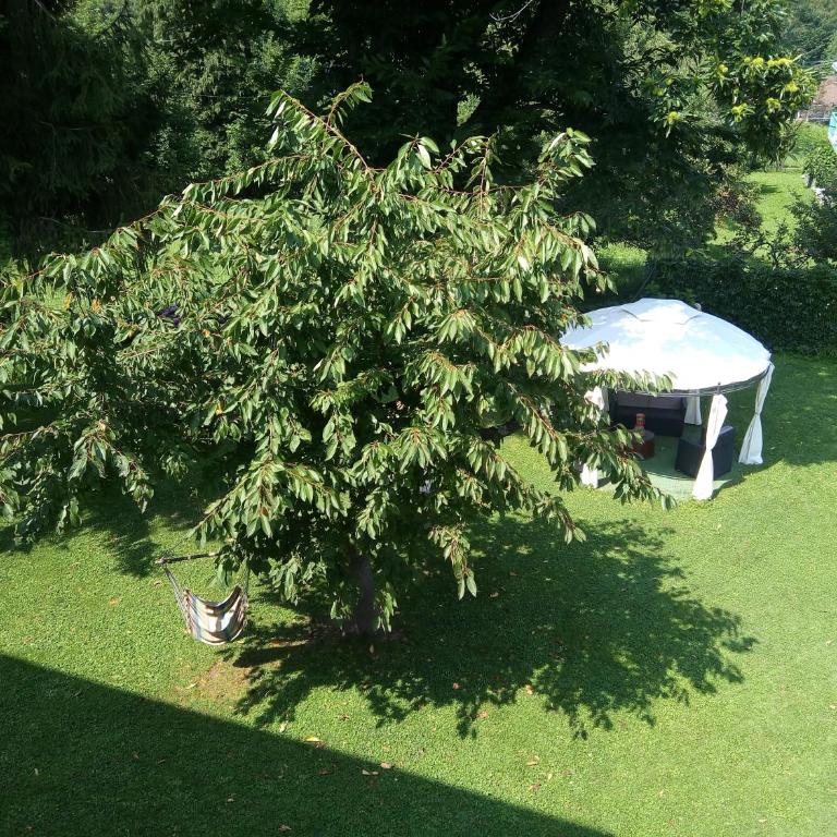 Villa Angela primo piano appartamento - Villa con 3 Camere da Letto - 17