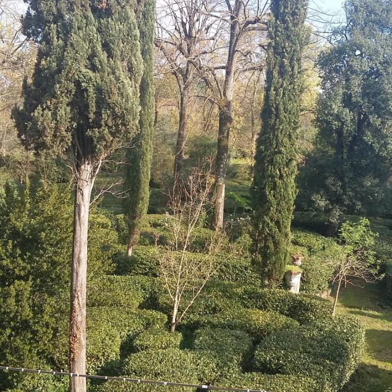 L'Albero di Garibaldi - Appartamento con Vista Giardino - 4