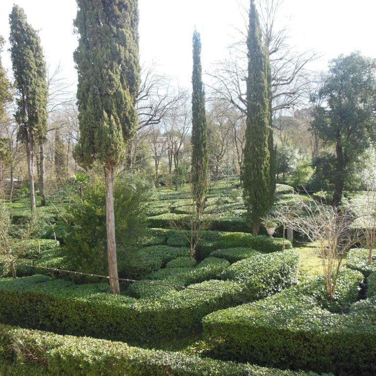 L'Albero di Garibaldi - Appartamento con Vista Giardino - 2