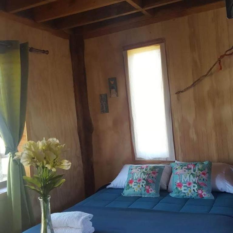 Rustico Pucon - Apartamento Estudio - 5