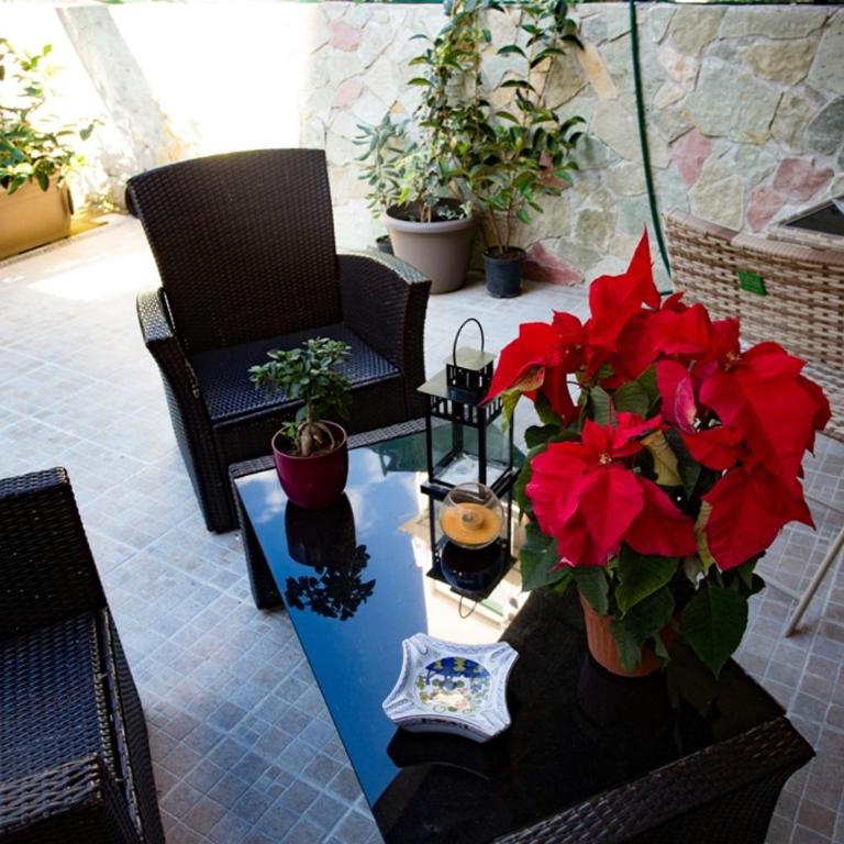 Casa Florio Appartamenti - Apartment - 24