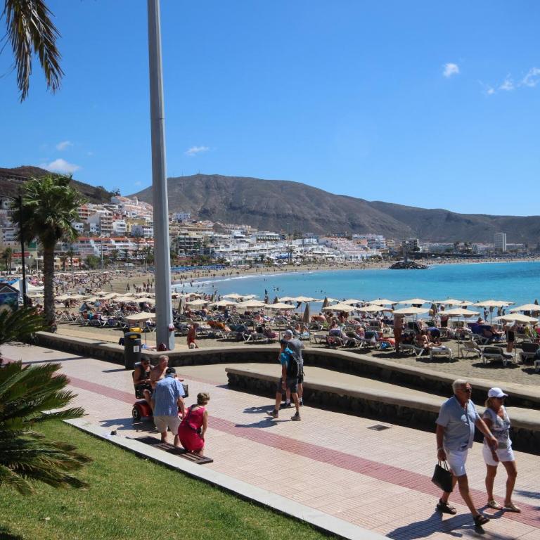 Los Cristianos Guayero apartment - Apartamento de 1 dormitorio - 22