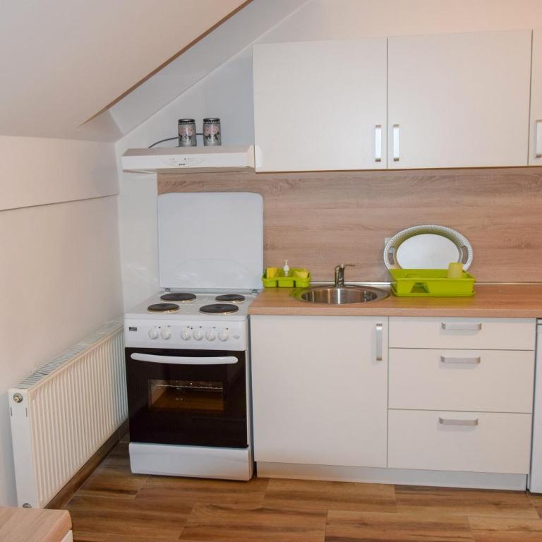 Apartman MAŠA - Apartman sa 1 Spavaćom Sobom - 12