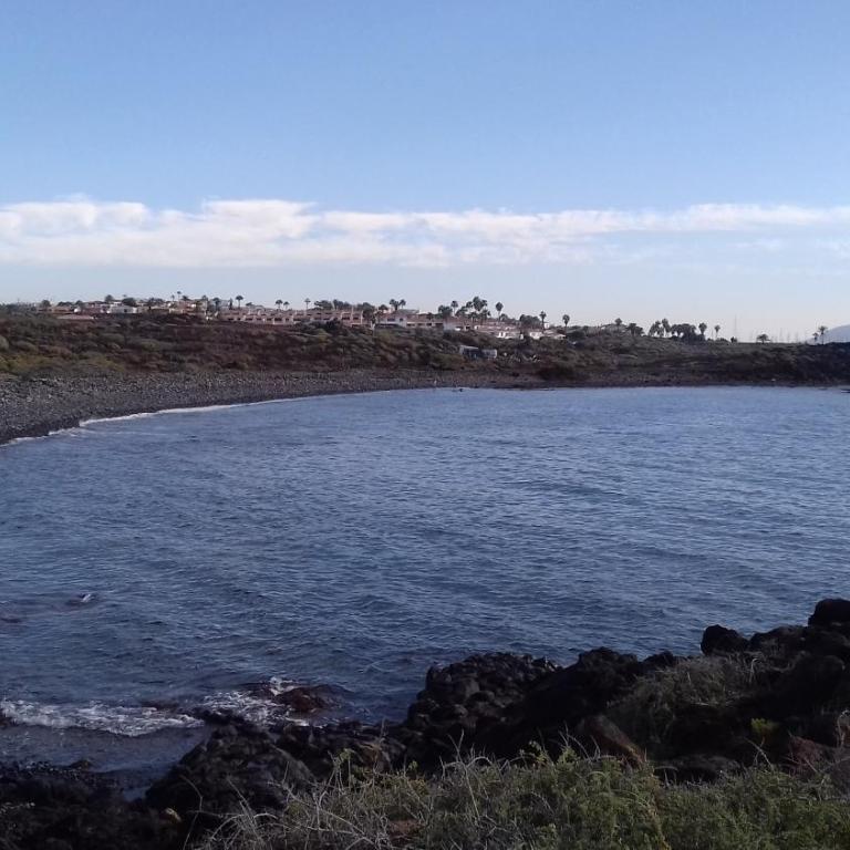 AMAZING SEASIDE DUPLEX IN THE GREEN SOUTH TENERIFE - Apartamento con vistas al mar - 10