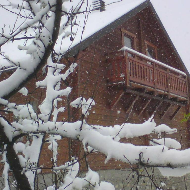 Dana apartmani - Apartman sa 1 Spavaćom Sobom - 10