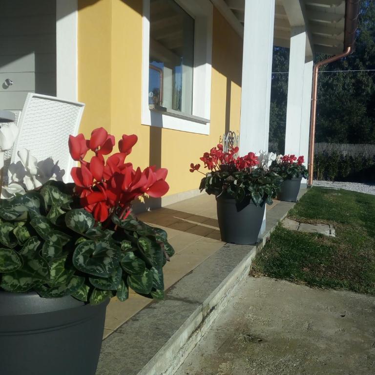 Villa la casa di Siro - Villa con Vista Giardino - 47