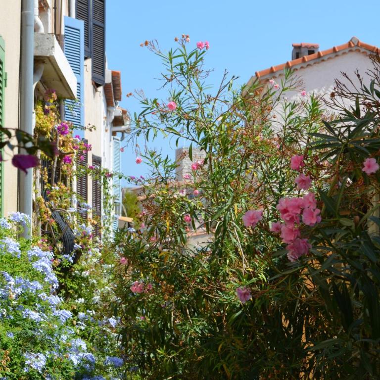 spacieux logement vieil antibes climatisé 5 minutes plages - Standard Apartment - 29