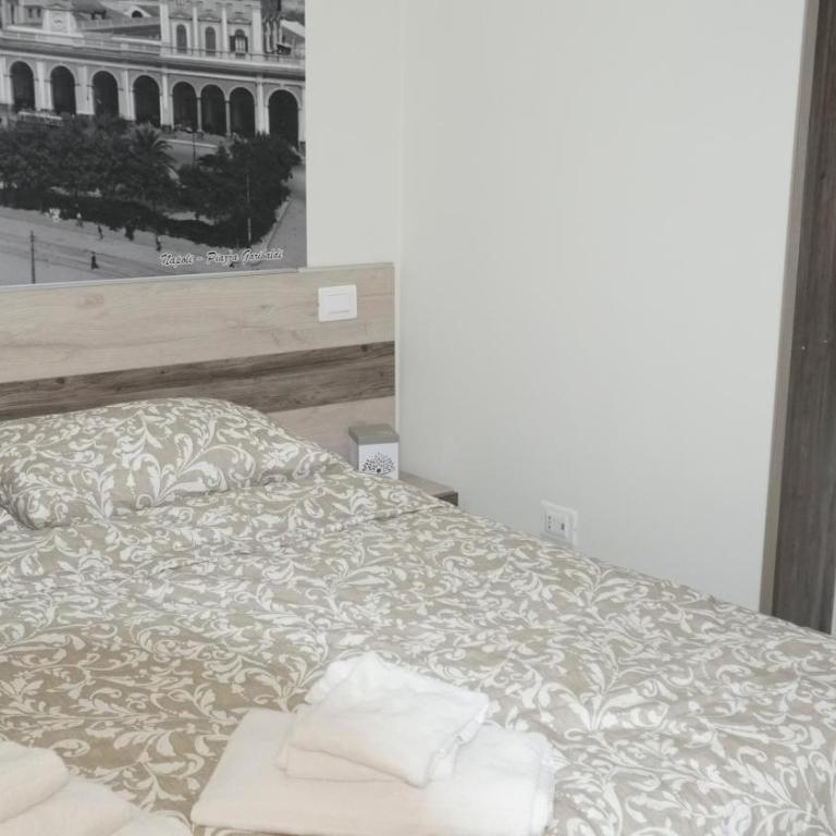 Donna Vicenza Bed & Breakfast - Camera Matrimoniale Standard - 2