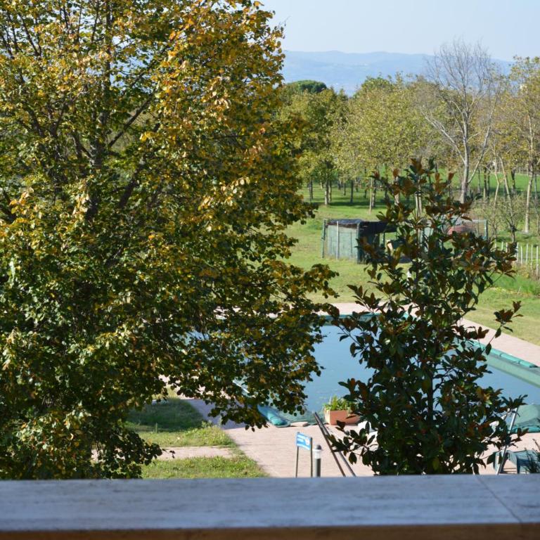 La Sorgente del Subasio Apartments - Appartamento con Vista Piscina - 3