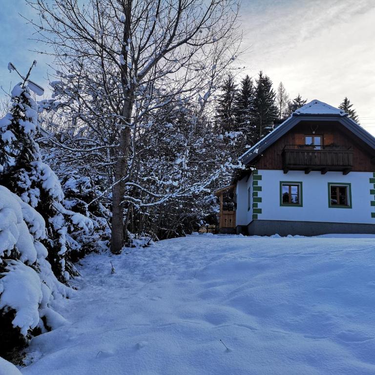 Ferienhaus Brunneben Häusl - Ferienhaus - 25