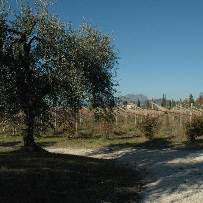 La Luna - dependance - Appartamento - 14