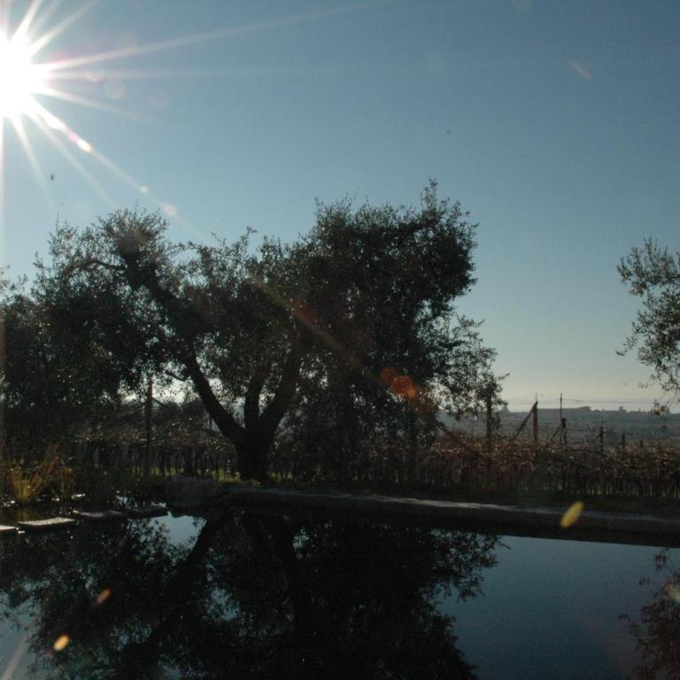 La Luna - dependance - Appartamento - 3