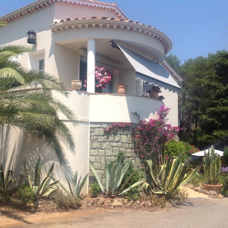 Rez de Villa Pébrier - Appartement 1 Chambre - 1