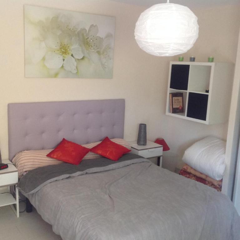 Rez de Villa Pébrier - Appartement 1 Chambre - 17