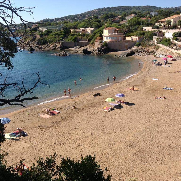 Rez de Villa Pébrier - Appartement 1 Chambre - 37