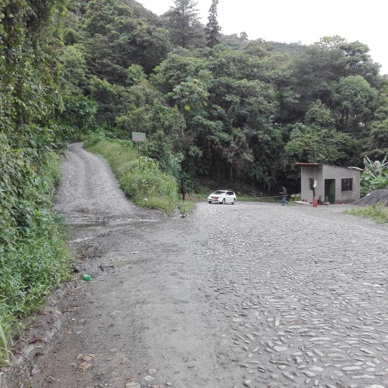 Blue Pine Farm Lodge Cabanas - One-Bedroom House - 2