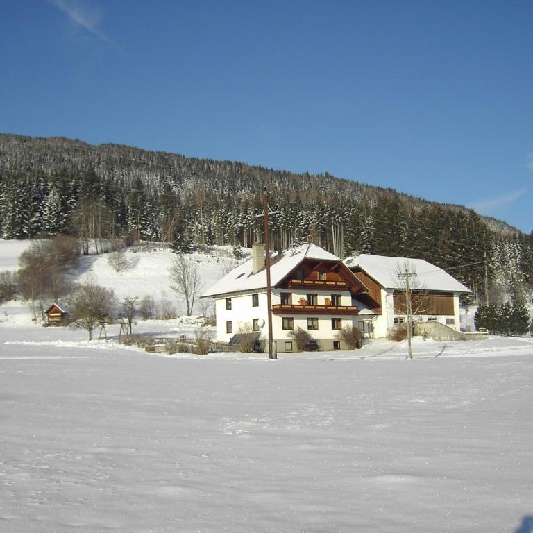 Ferienwohnungen Graggaber - Apartment mit 1 Schlafzimmer - 2