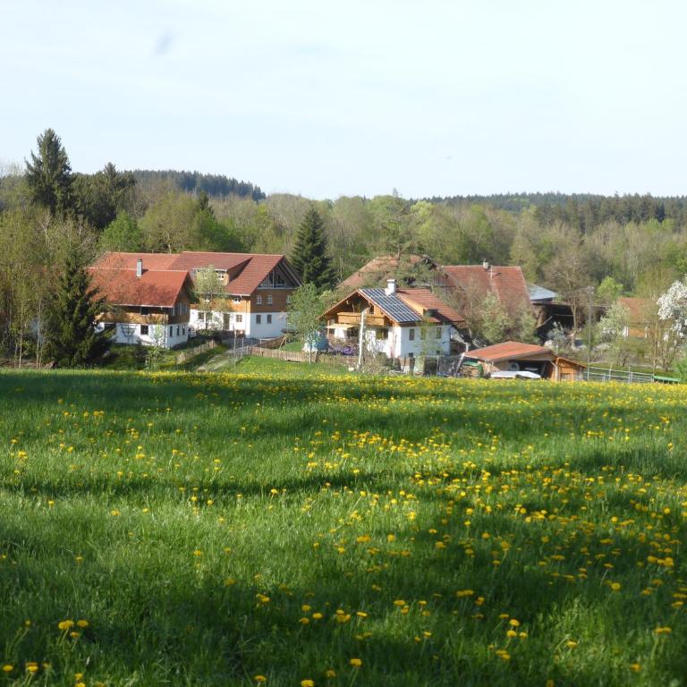 Holstein-Höfle - Gipfelstüble - Appartamento con Vista Giardino - 23