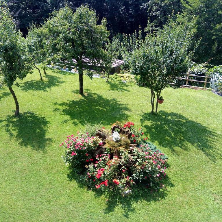 Villa Angela primo piano appartamento - Villa con 3 Camere da Letto - 19