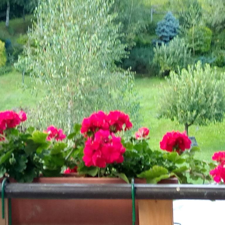Villa Angela primo piano appartamento - Villa con 3 Camere da Letto - 18