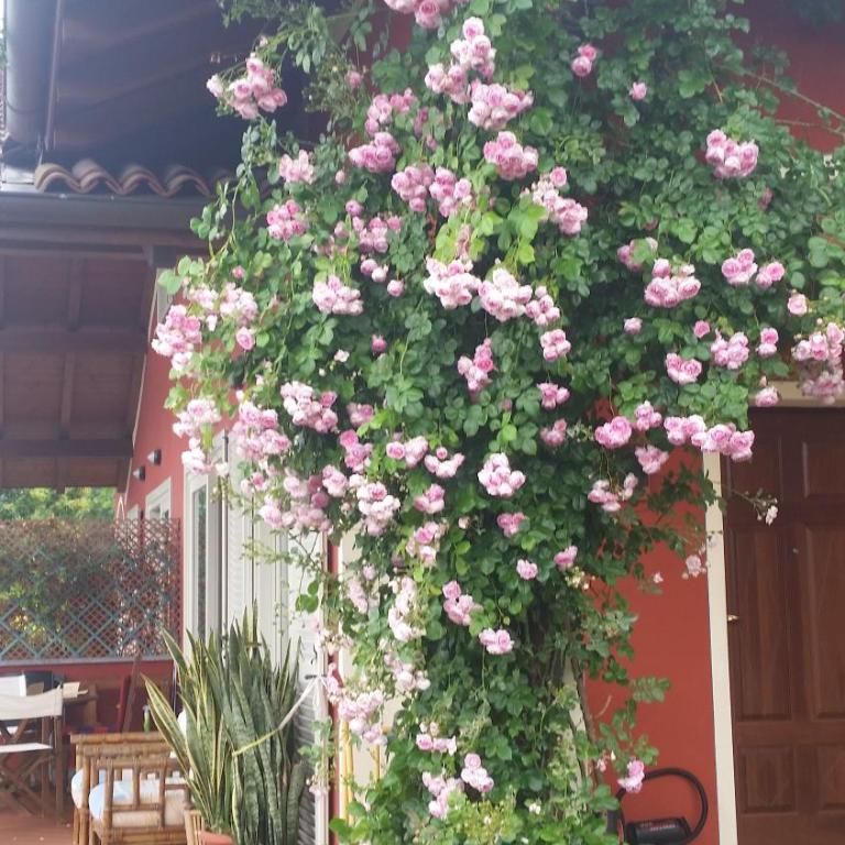 Alba sul lago - Double Room with Spa Bath - 52