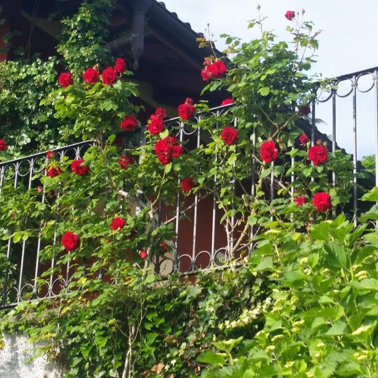 Alba sul lago - Double Room with Spa Bath - 45