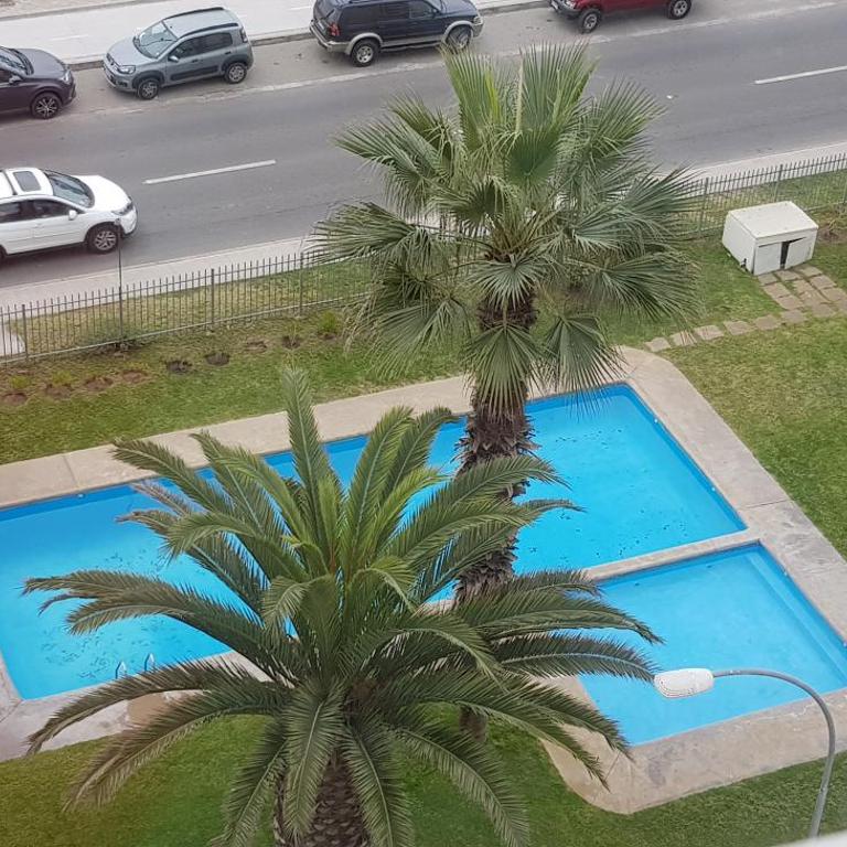 DEPTO 1RA LINEA FRENTE AL MAR Condominio Palmar 4P - Apartamento - 15