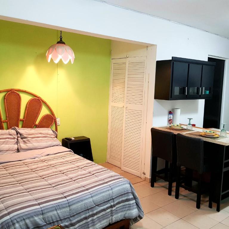 Contry La Silla Apartments zona tec - Nuevo Sur - Loft - 8