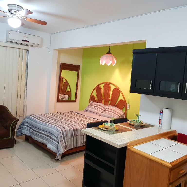 Contry La Silla Apartments zona tec - Nuevo Sur - Loft - 11