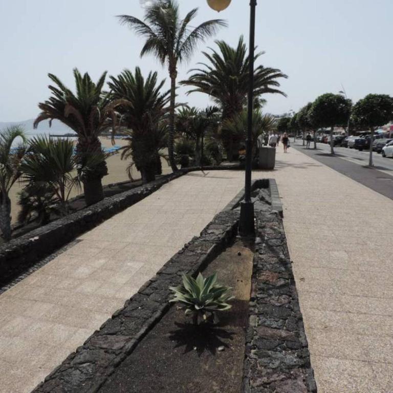 Blue Turtle Apartment, Next to the Beach - Apartamento - 35