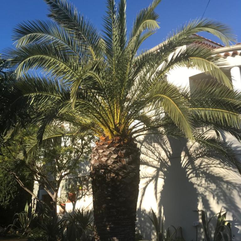 Rez de Villa Pébrier - Appartement 1 Chambre - 23