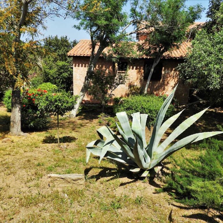 Casa Costa Corallina Mare - Casa Vacanze - 36