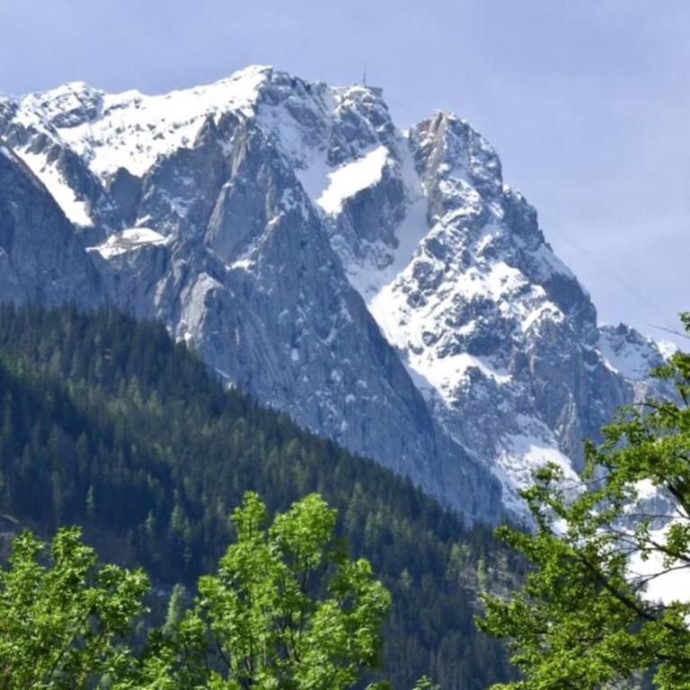 Alpenhof Grainau - Standard Einzelzimmer - 7