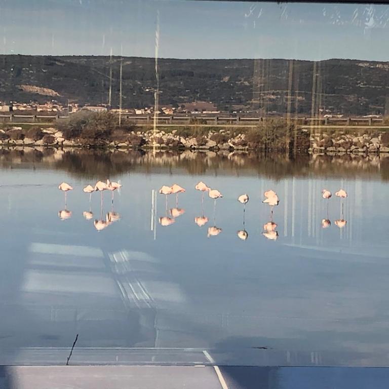 FLAMANTS ROSES 3 - Mobile Home - 5