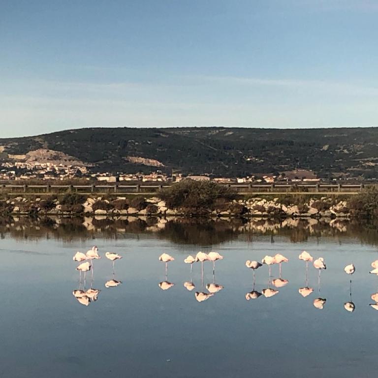 FLAMANTS ROSES 3 - Mobile Home - 12