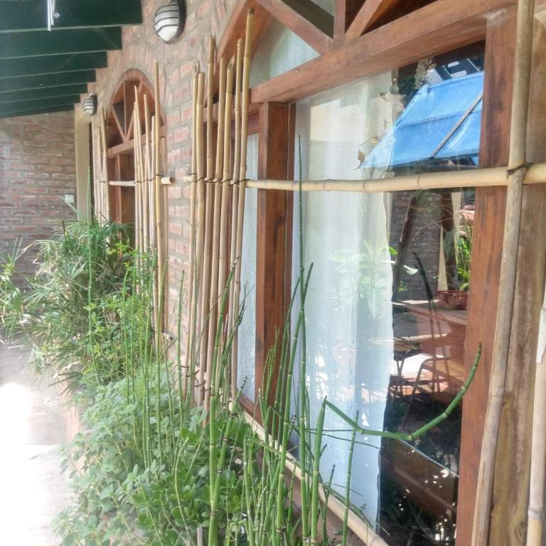 "Mahilo Casa" - Three-Bedroom House - 21