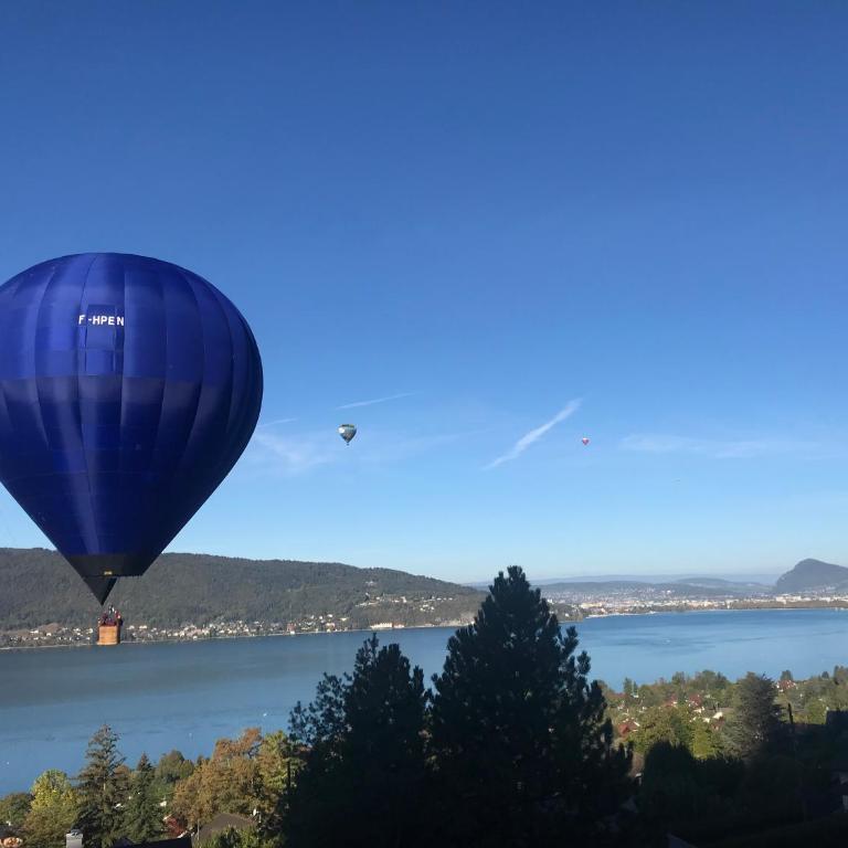 La Merle Rez-de-jardin Vue extraordinaire Lac Annecy - Climatisation - Appartement - Vue sur Lac - 23