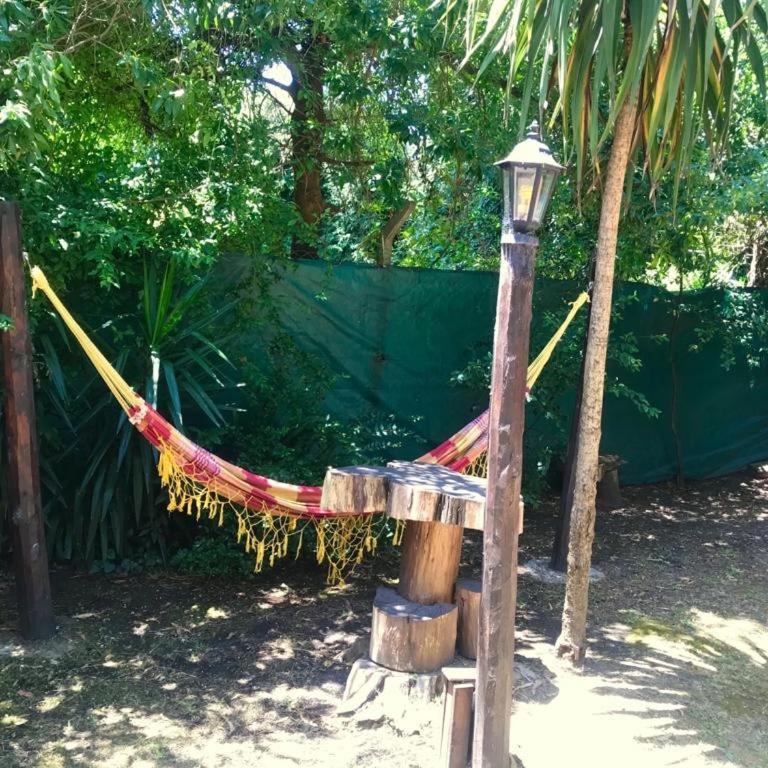 Los 3 Gringos Casa Bosque P Ramos - Vacation Home - 27