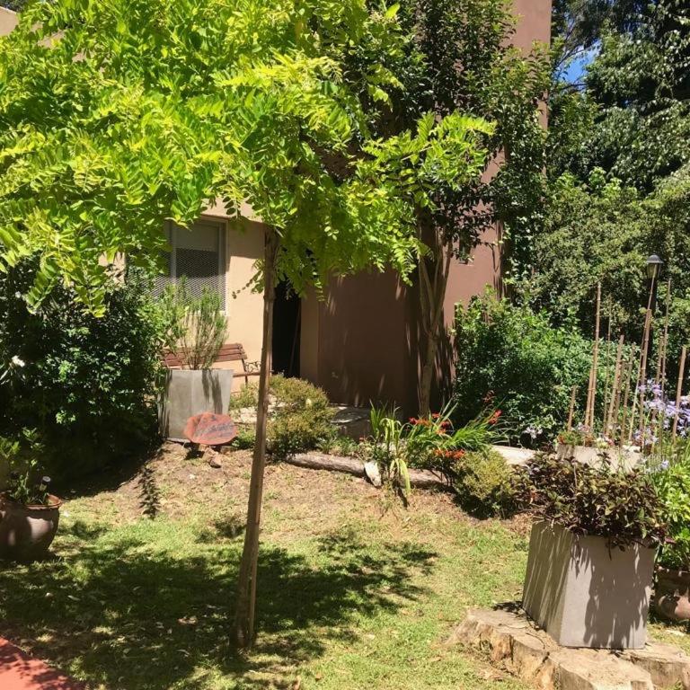 Los 3 Gringos Casa Bosque P Ramos - Vacation Home - 4