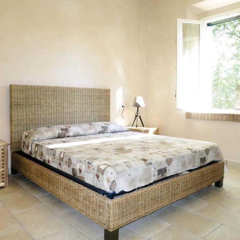 Podere Sant'Antonio - Appartamento Standard - 7