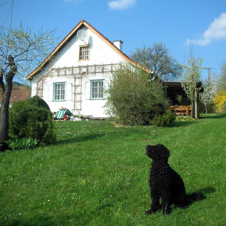 Beim Schachnerhaus - Casa Vacanze - 1