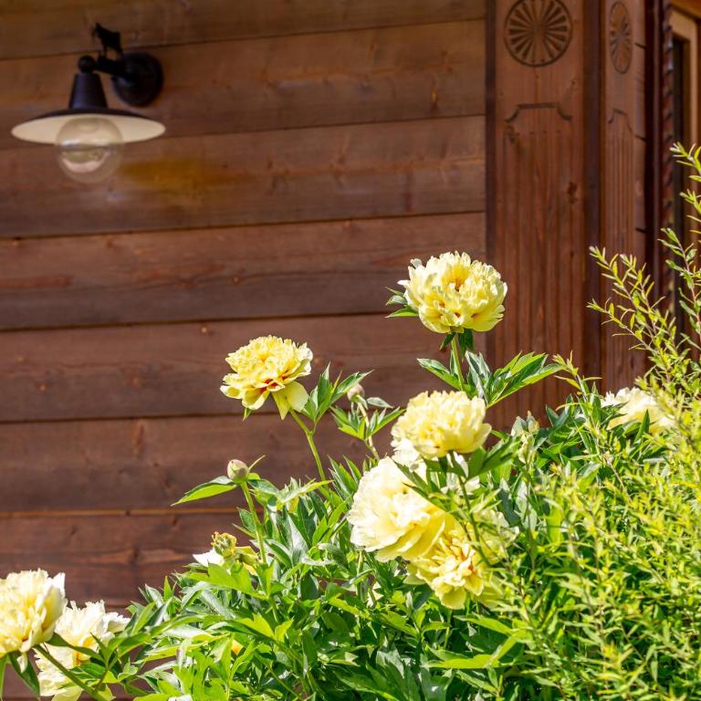 Le CHALAY - Chalet - 50