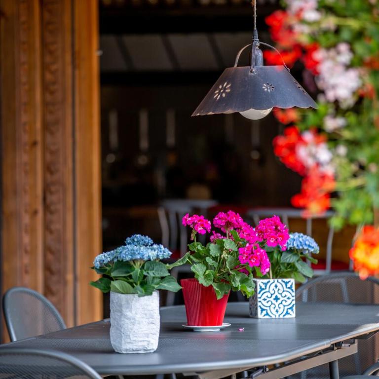 Le CHALAY - Chalet - 48