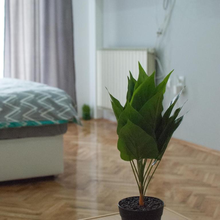 MM Lux Apartment, Novi Sad - Apartman sa 1 Spavaćom Sobom - 19