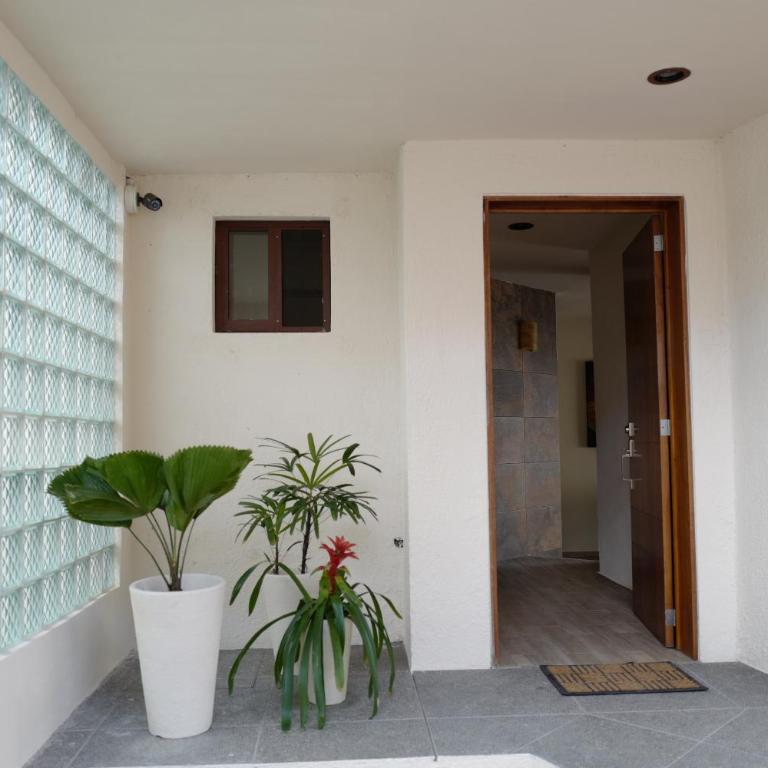 Villas La Ceiba - Maison de Ville 3 Chambres - 12
